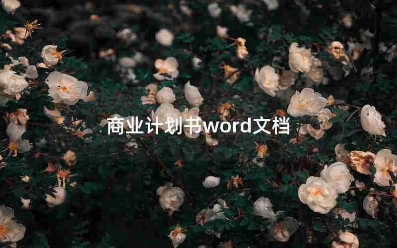 商业计划书word文档