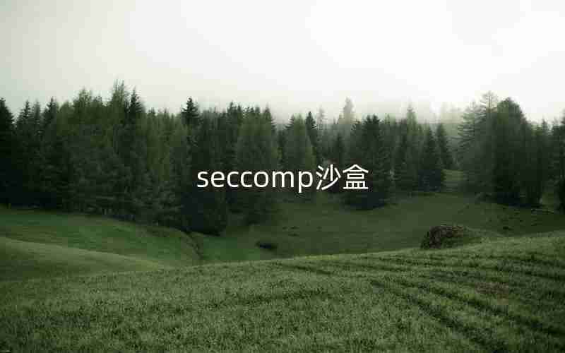 seccomp沙盒