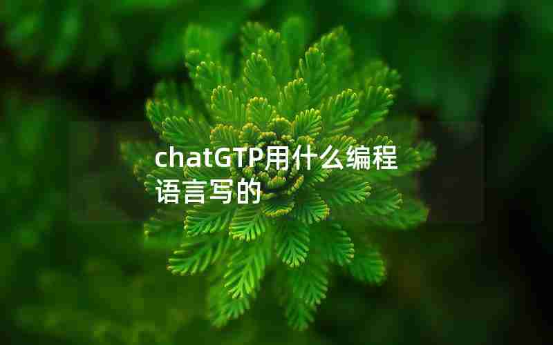 chatGTP用什么编程语言写的