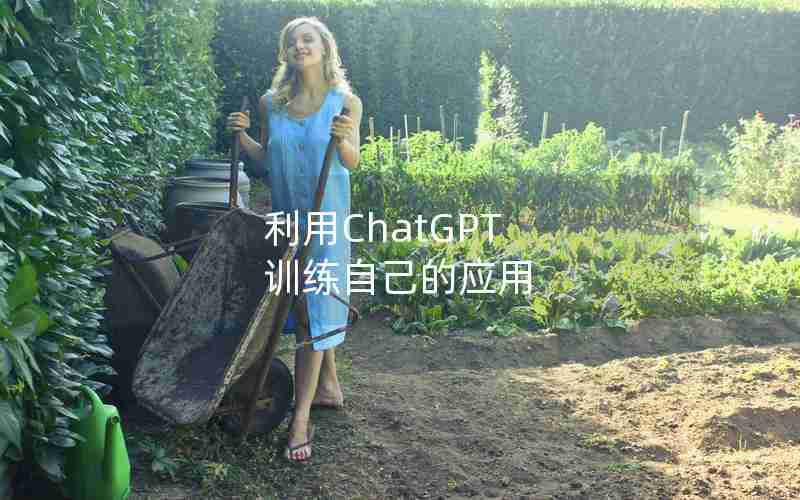 利用ChatGPT 训练自己的应用