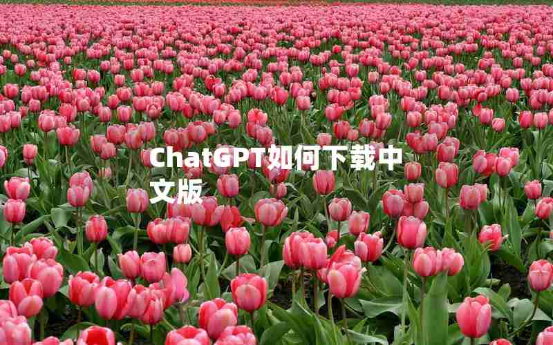 ChatGPT如何下载中文版