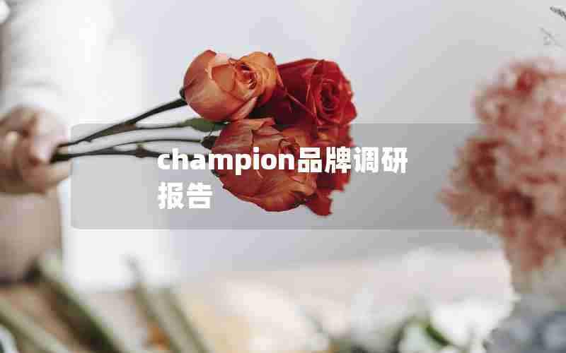 champion品牌调研报告