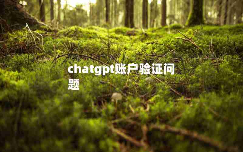 chatgpt账户验证问题