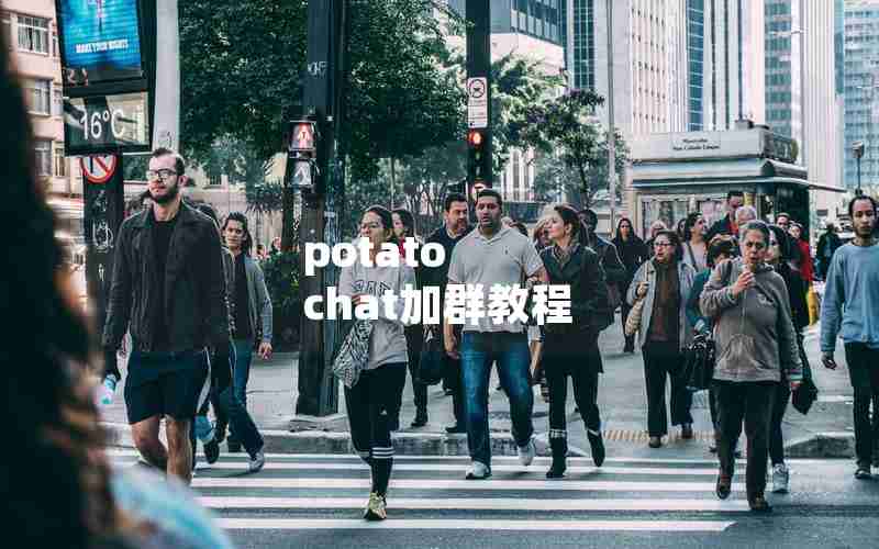 potato chat加群教程