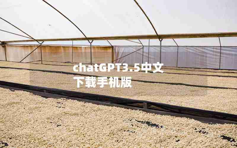 chatGPT3.5中文下载手机版