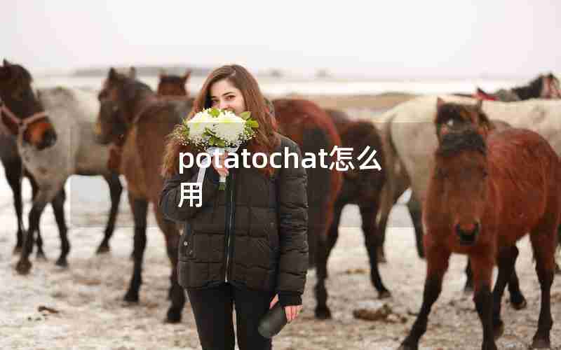 potatochat怎么用