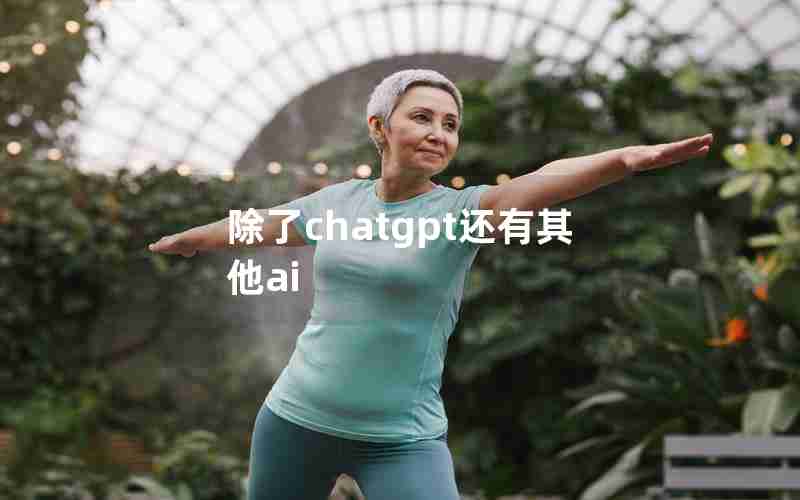 除了chatgpt还有其他ai