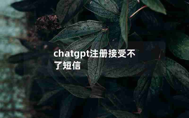 chatgpt注册接受不了短信