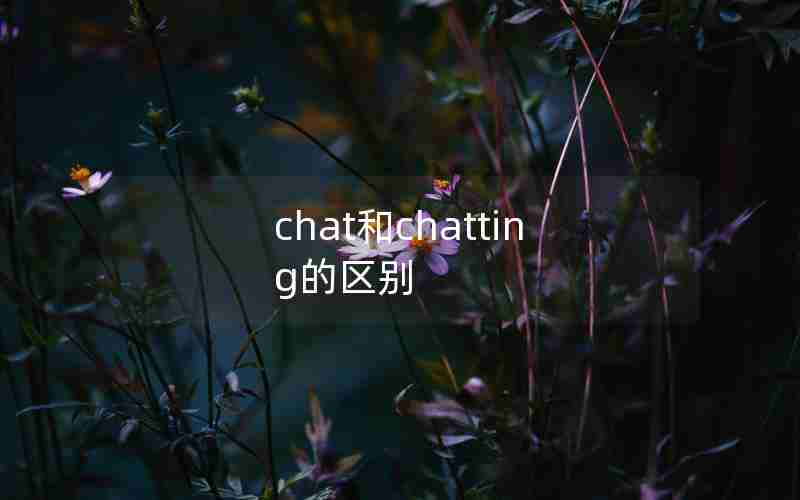 chat和chatting的区别