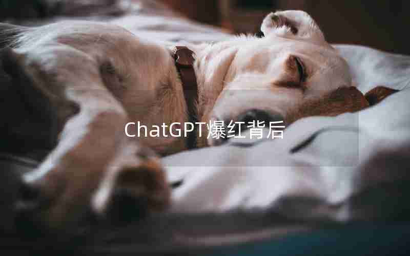 ChatGPT爆红背后