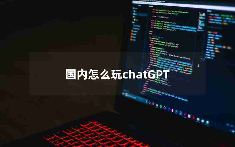 国内怎么玩chatGPT