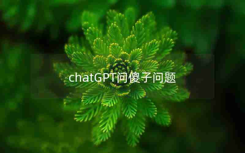 chatGPT问傻子问题