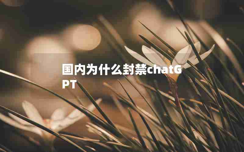 国内为什么封禁chatGPT