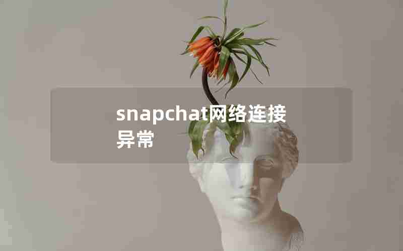 snapchat网络连接异常