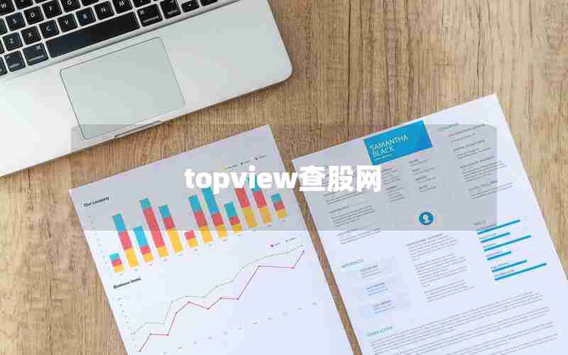 topview查股网