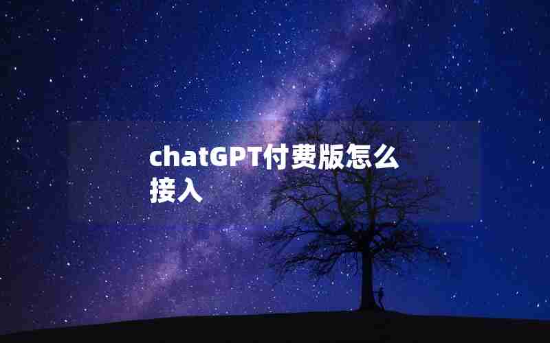 chatGPT付费版怎么接入