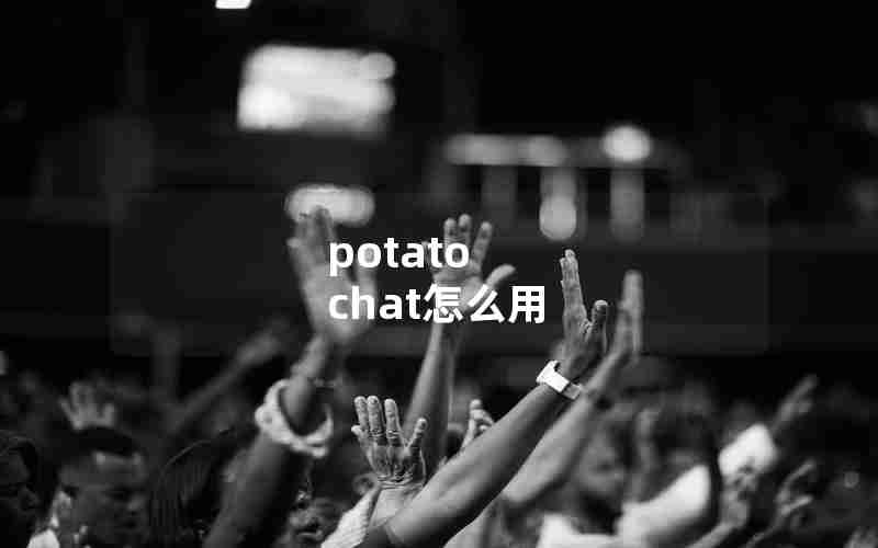 potato chat怎么用