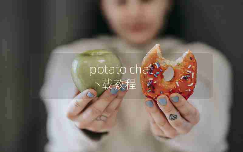 potato chat 下载教程