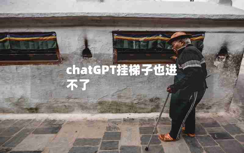 chatGPT挂梯子也进不了