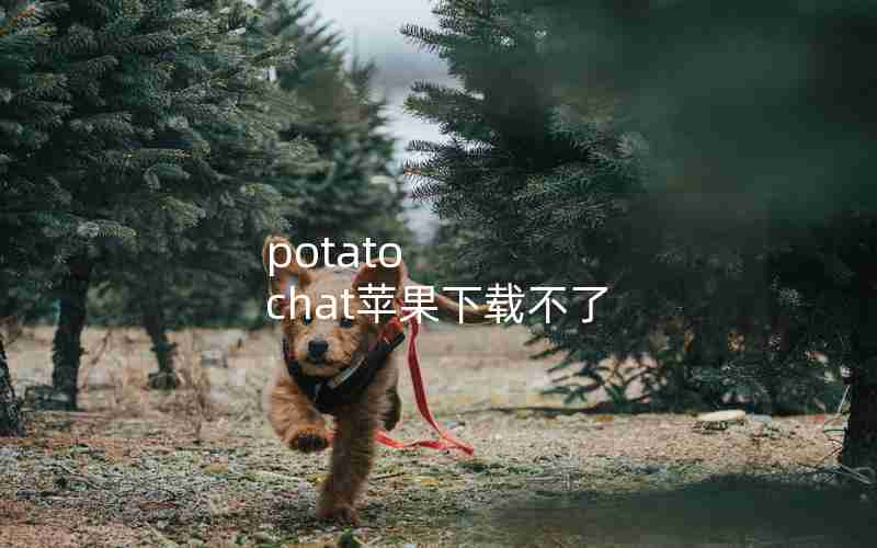 potato chat苹果下载不了