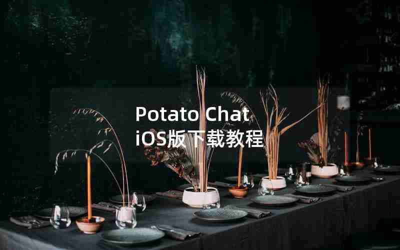 Potato Chat iOS版下载教程