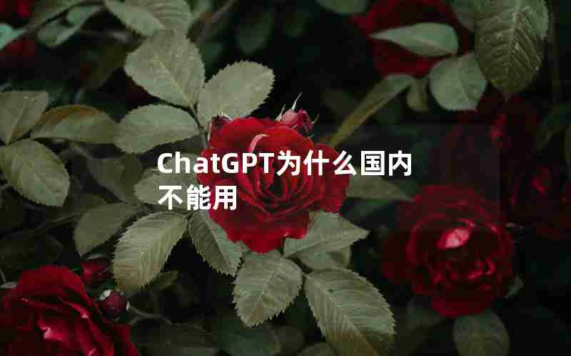 ChatGPT为什么国内不能用