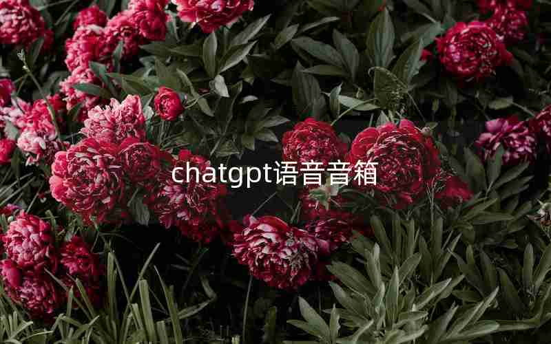 chatgpt语音音箱