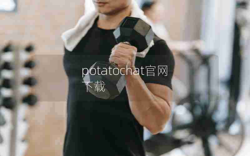 potatochat官网下载