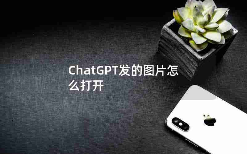 ChatGPT发的图片怎么打开