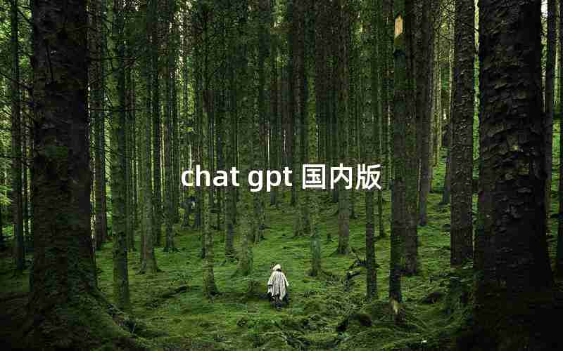 chat gpt 国内版