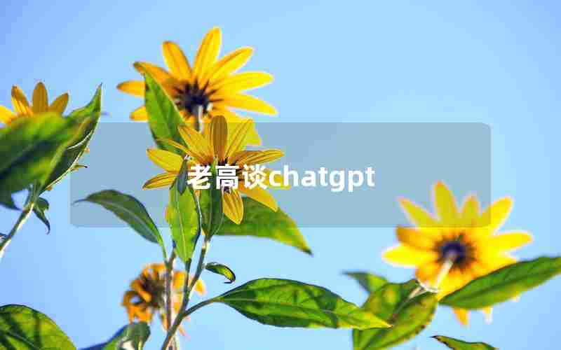 老高谈chatgpt