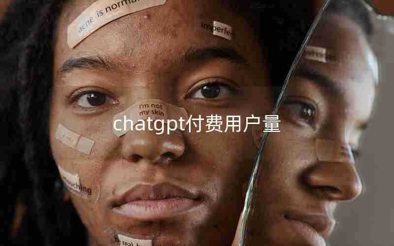 chatgpt付费用户量