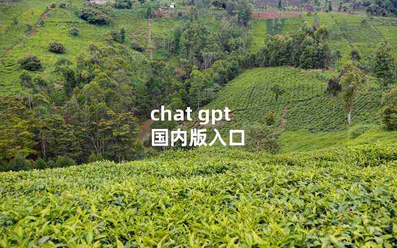 chat gpt 国内版入口