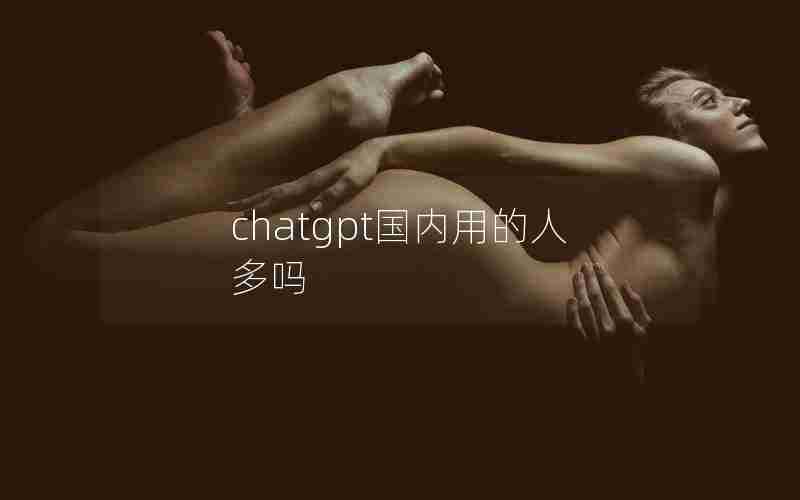 chatgpt国内用的人多吗