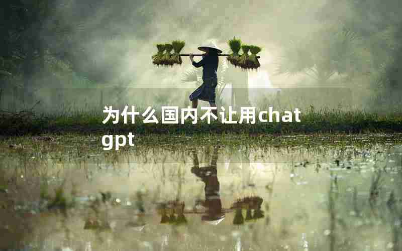 为什么国内不让用chatgpt