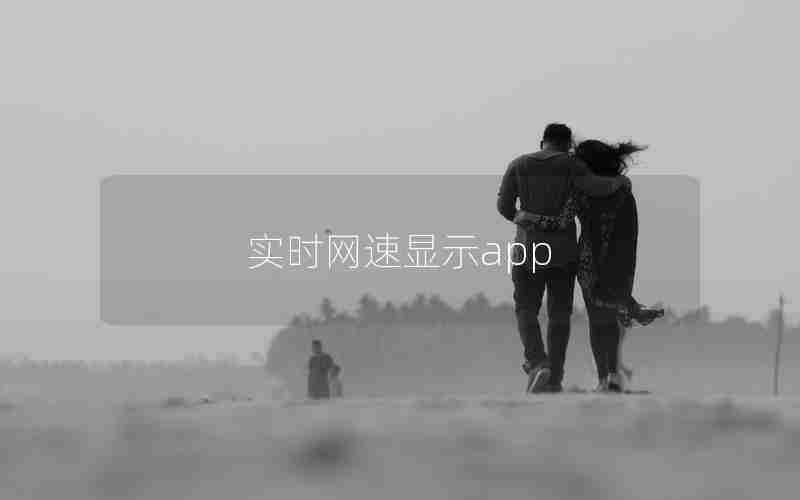 实时网速显示app