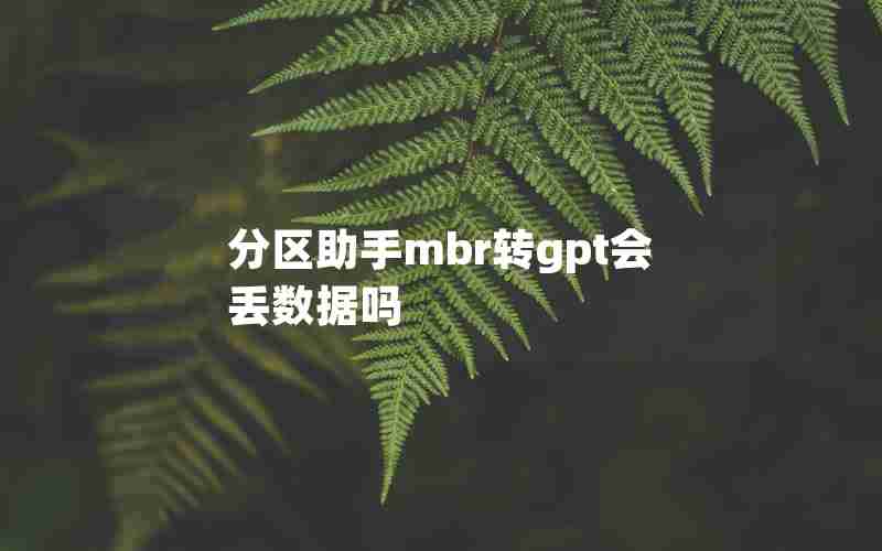 分区助手mbr转gpt会丢数据吗