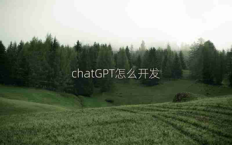 chatGPT怎么开发