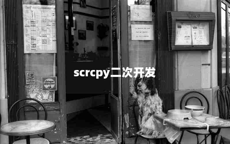 scrcpy二次开发