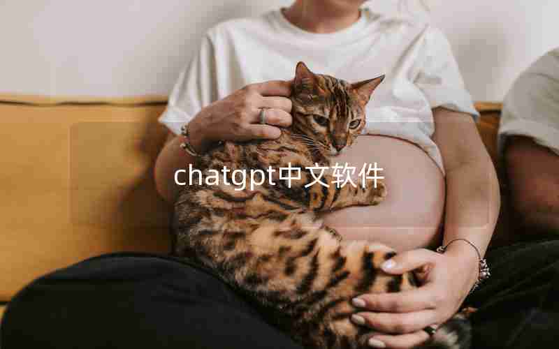 chatgpt中文软件(ChatGPT中国免费网页版)