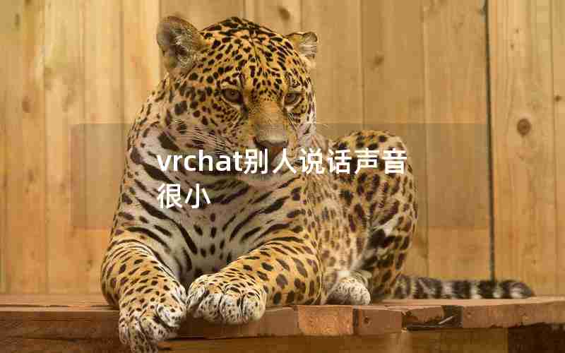 vrchat别人说话声音很小