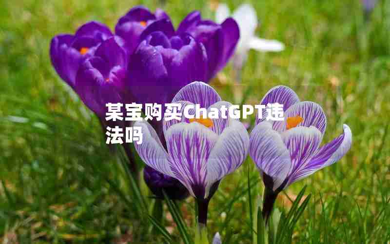 某宝购买ChatGPT违法吗