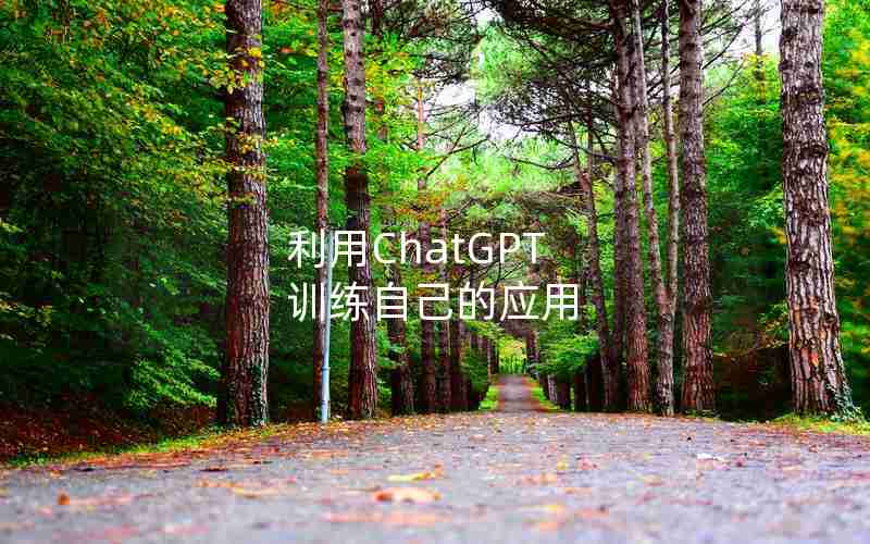 利用ChatGPT 训练自己的应用