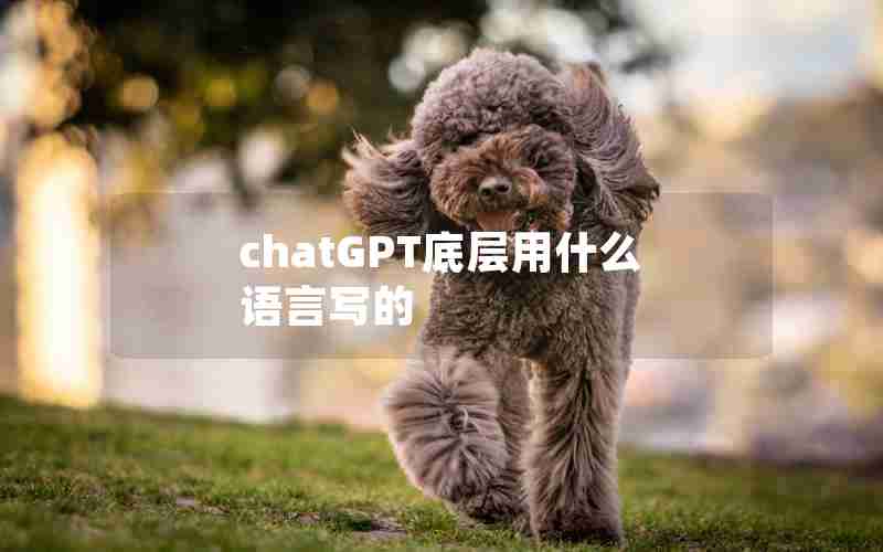 chatGPT底层用什么语言写的