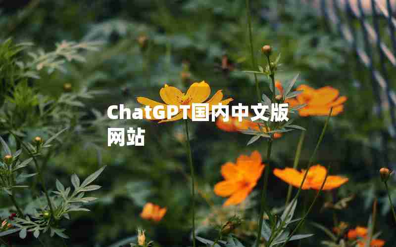 ChatGPT国内中文版网站