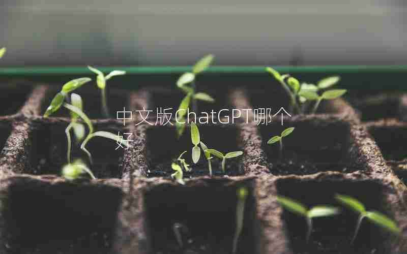 中文版ChatGPT哪个好