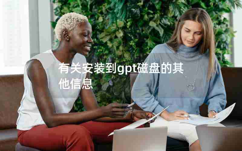 有关安装到gpt磁盘的其他信息