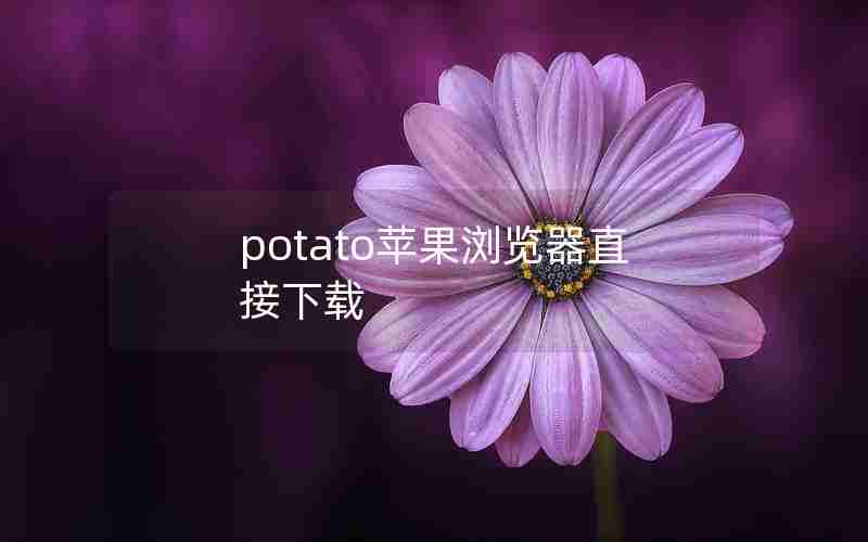 potato苹果浏览器直接下载