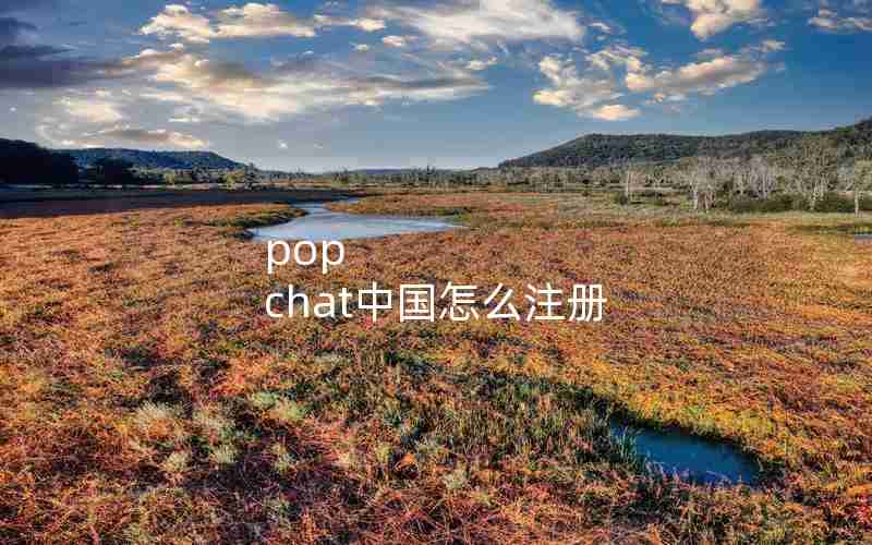 pop chat中国怎么注册