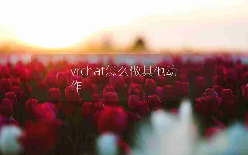 vrchat怎么做其他动作